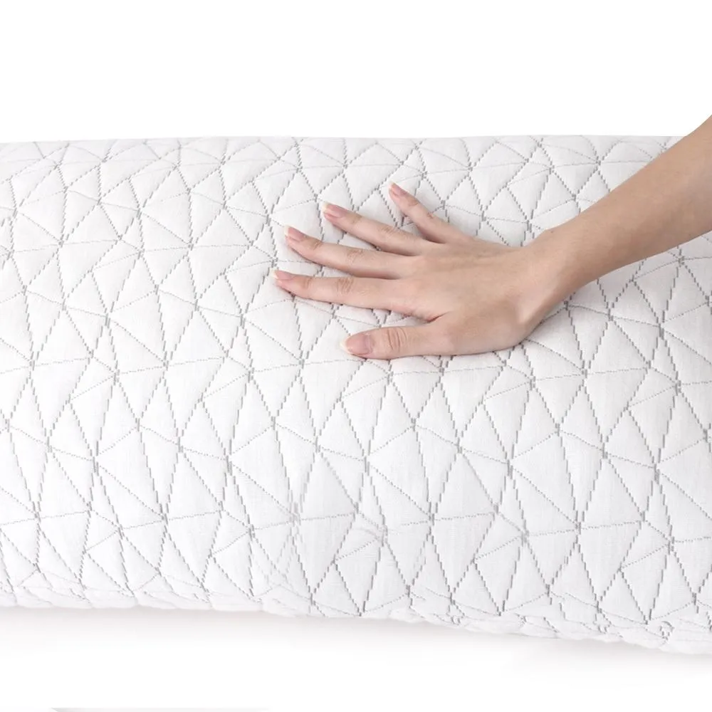 Set of 2 Rayon King Memory Foam Pillows